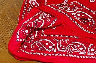 inside tote bag with lining