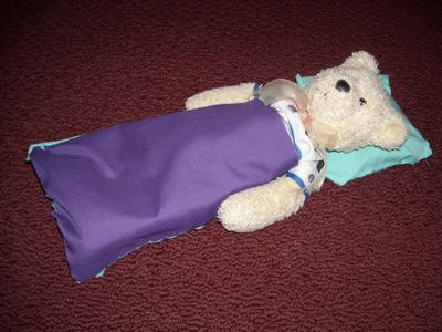 teddy sleeping bag